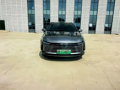 BYD Destroyer 05
