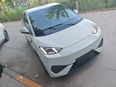 BYD Seagull