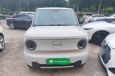Geely Galaxy Panda