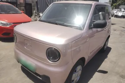 Geely Galaxy Panda