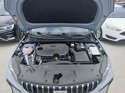 Geely Binrui