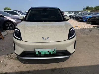 Wuling 缤果S