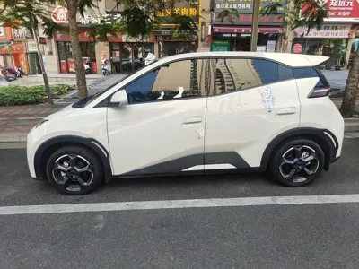 BYD Seagull