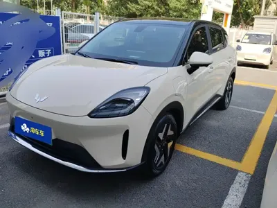 Wuling 缤果S