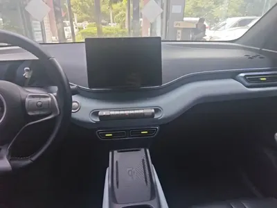 BYD Seagull