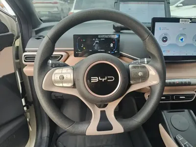 BYD Seagull