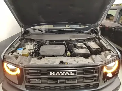 Haval Big Dog