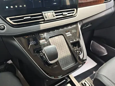 Hongqi Hongqi HQ9 PHEV