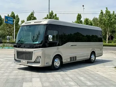 Hongqi 红旗金葵花国悦