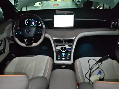 BYD Pro New Energy