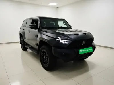 Mengshi Mengshi 917