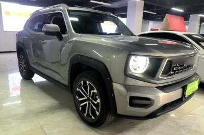 Haval H Dog