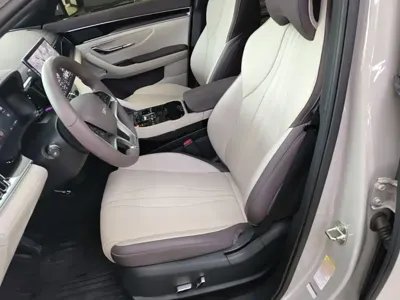 BYD PLUS New Energy
