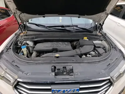 Haval H4