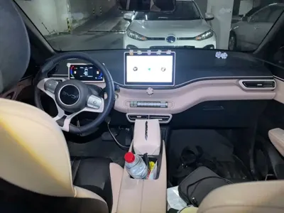 BYD Seagull