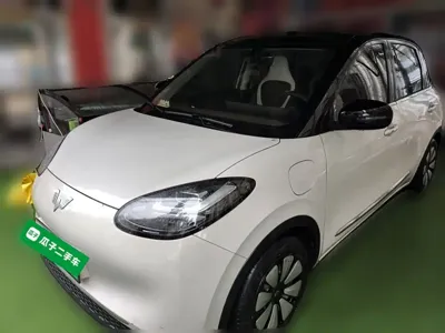 Wuling Bingo