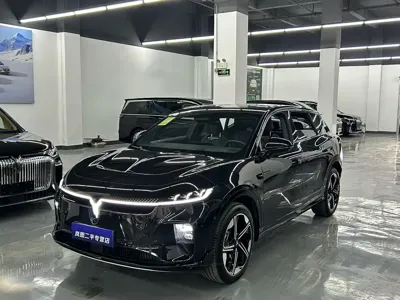 Voyah Zhiyin