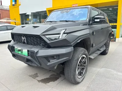 Mengshi Mengshi 917