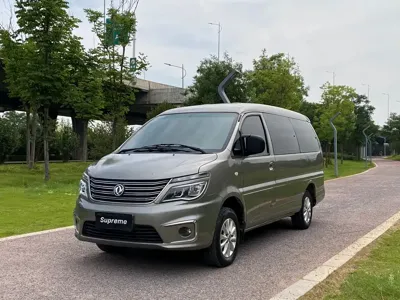 Fengxing Lingzhi
