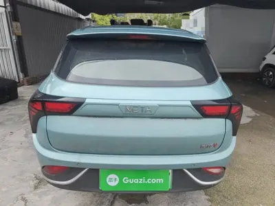 NETA Neta V