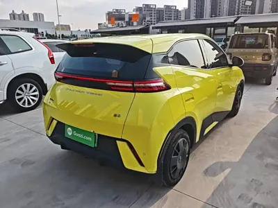 BYD Seagull