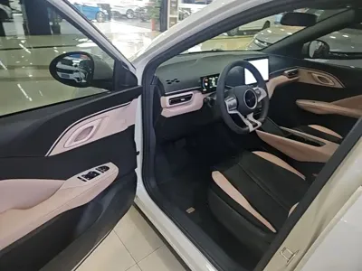 BYD Seagull