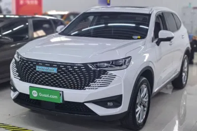 Haval H6 New Energy