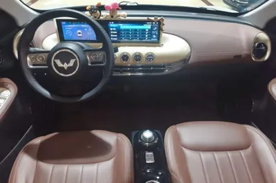 Wuling Bingo