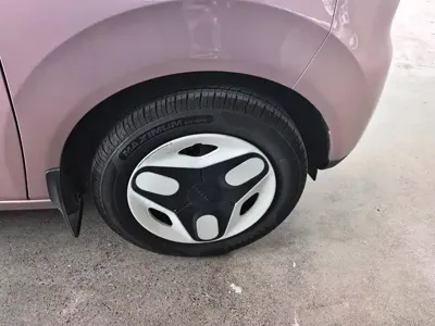 Galaxy Panda