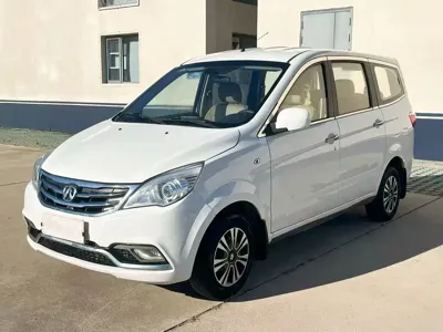 BAW Weiwang M20