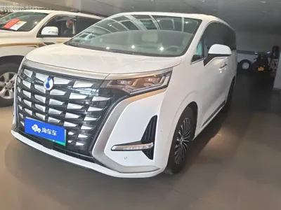 Denza Denza D9