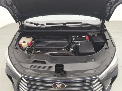 BYD MAX