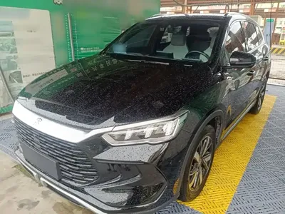 BYD Pro New Energy