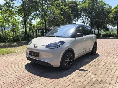Wuling Bingo