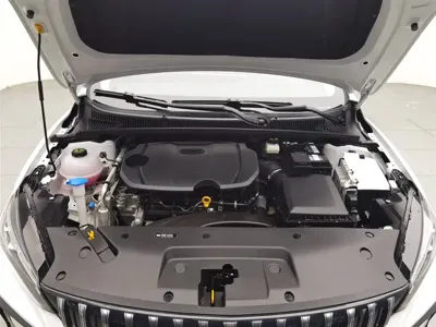 Geely Binrui