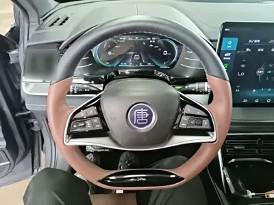 BYD Tang New Energy