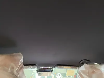 NETA Neta L