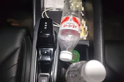 Geely Auto Binray
