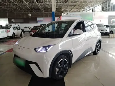 BYD Seagull