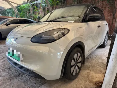 Wuling Bingo