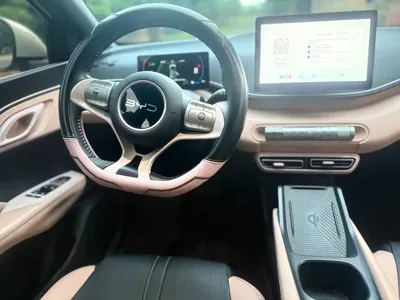 BYD Seagull