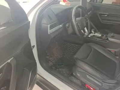BYD Pro