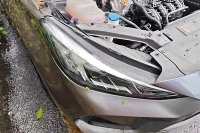 MG 5