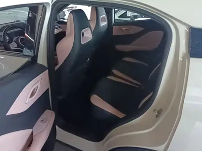 BYD Seagull