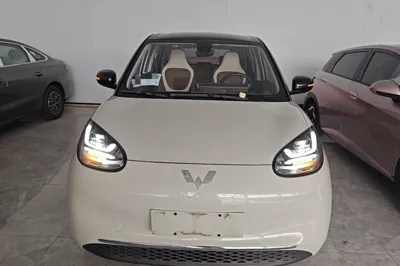 Wuling Bingo