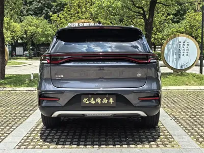 BYD Tang New Energy