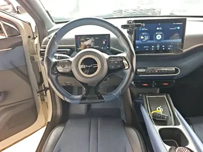 BYD Seagull