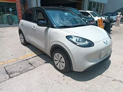 Wuling Bingo