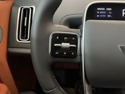 Li Auto Li L9