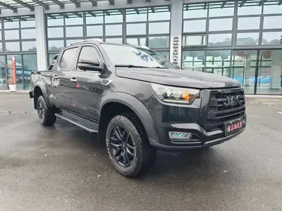 JAC JAC T8